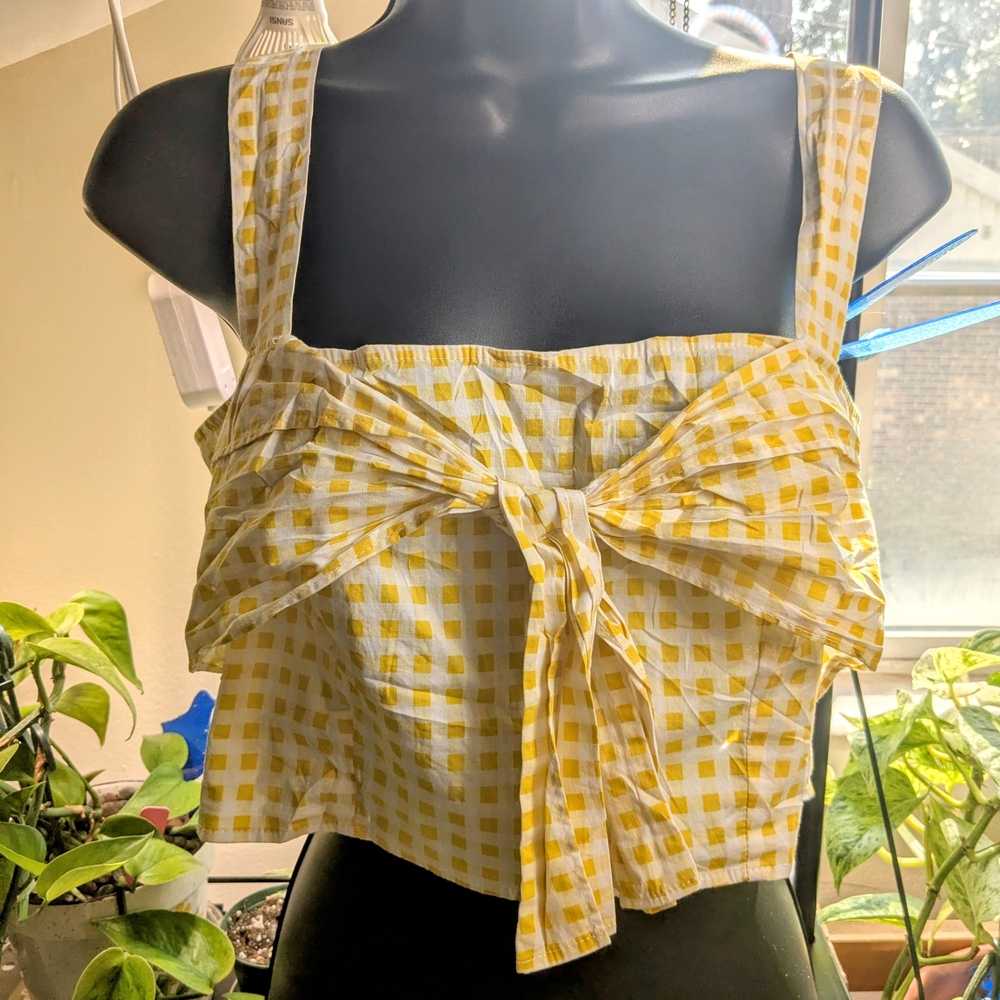 Yellow Gingham ZARA Crop Top